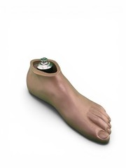 Ohio Willow Wood Sach prosthetic foot w/ titanium pyramid. Left. Size 29