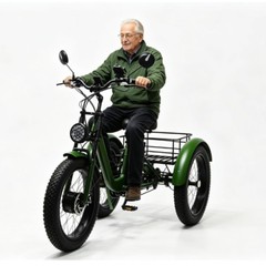 Daibot 24″ Fat Tire Mobility Trike 750W For Adults All Terrain Shopping Travel