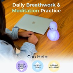 Mindsight ‚Original Breathing Buddha‘ Guided Visual Buddha, Multicolor
