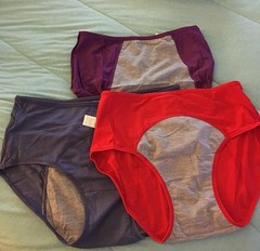 Menopausal Incontinence Underwear Brief Menstrual Period Leakproof Panties