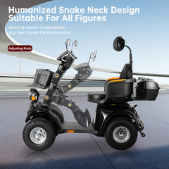 1000W 4-Wheel All-Terrain Electric Power Mobility Scooter Heavy Duty Scooter