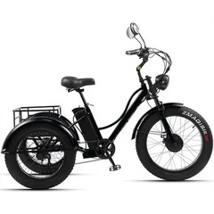 Daibot 24Inch 750W 48V Fat Tire E Trike Adult 7Speed 65km Removable Battery
