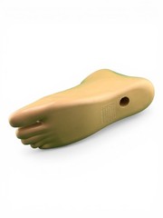 Ottobock Otto bock sach prosthetic foot. Right. Size 24. Excellent condition