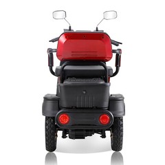 1000W 4-Wheel Heavy Duty Adjustable 2-Seat Electric Power Mobility Scooters