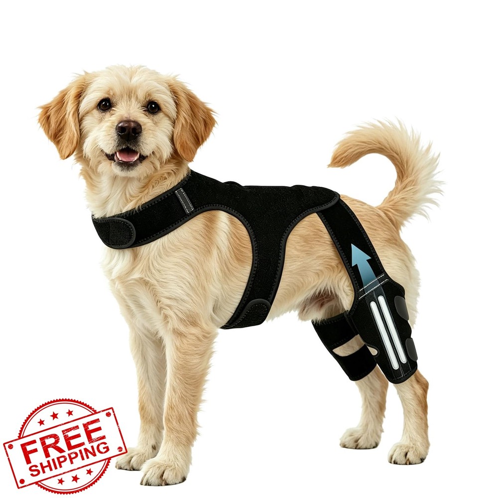 HCCW Dog Knee Braces for Back Leg | Knee Support for ACL/CCL Care, Dog Leg Br…