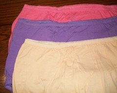 NWT SEA CARE PLUS 2X LOT 3 MULTI COTTON PAD INCONTINENCE UNDERWEAR PANTIES BRIEF