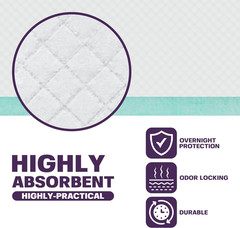 Disposable Bed Pads 17×24 100 Count Super Absorbent Waterproof Underpads Chux
