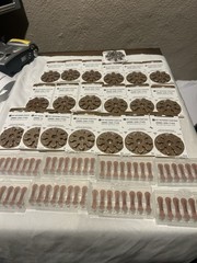 My Hearing Center Hearing Aid Batteries SIZE 312 (224 Batteries ) EXP 2025 26