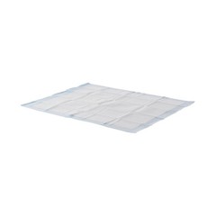 Wings Quilted Premium Strength Underpad Heavy Absorbency 30 X 36″ 40 ct