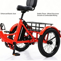 Daibot Adult Removable Battery Cargo Basket 350W Fold Mobility Trike 3 Wheel