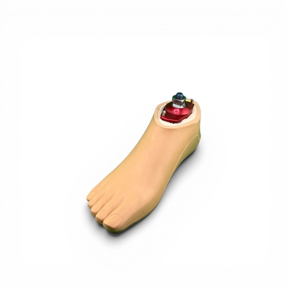 Ottobock Otto bock sach prosthetic foot. Right. Size 24.