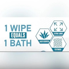 Mint Leaf Body Cleansing Wipes for Adults w/ Vitamin E & Aloe Vera 30 Count NIB