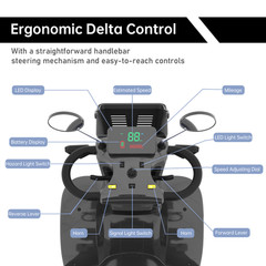Four Wheels Travel Mobility Scooter 500W 48V 20AH Battery Motor for Adult Senior