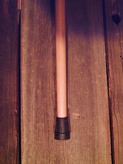 cane Water Buffalo horn handle copper ring tapered hickory shaft MADE IN THE USA