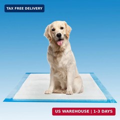 Henry Schein Disposable Underpad, 23″ x 24″, Light Absorbency, 100 Ct | 100 Unde