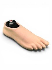 College Park Celsus Prosthetic Foot. Size 24, Right Shell, Category 2.