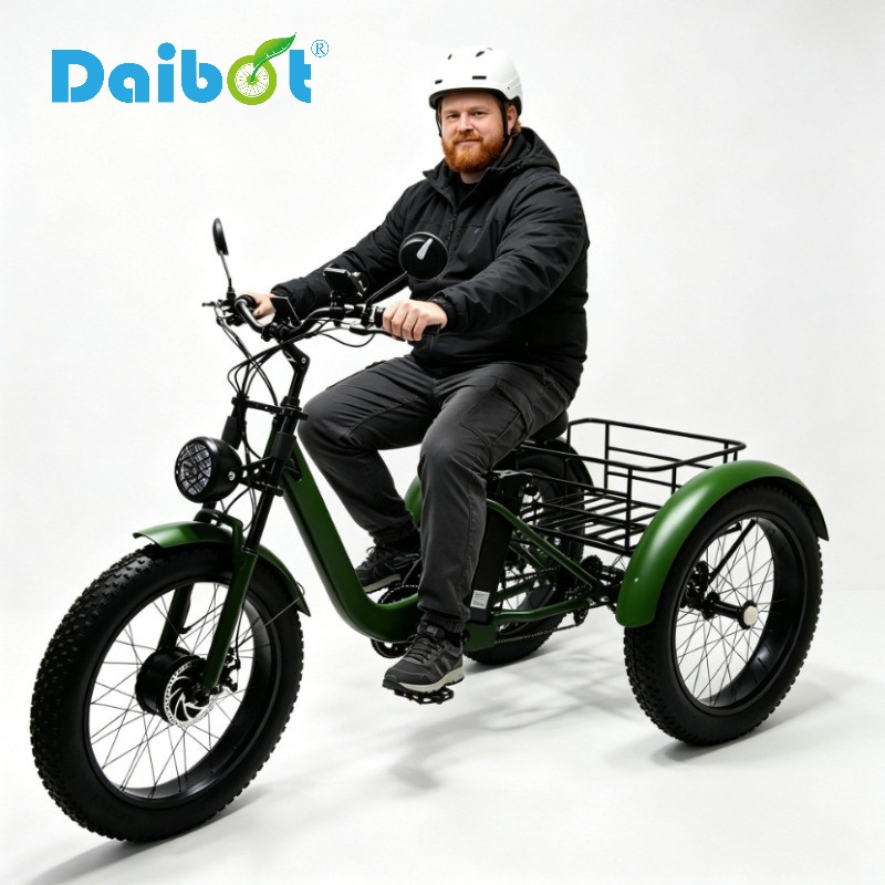 Daibot 750W 24 Inch Fat Tire Mobility Trike for Adults All Terrain Shopping