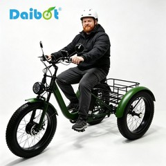 Daibot 750W 24 Inch Fat Tire Mobility Trike for Adults All Terrain Shopping