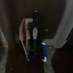Anthros Collapsible Walker Blue White Red Mobility Aid