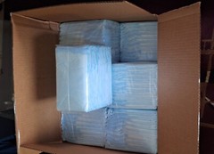 Wings Basic Underpads