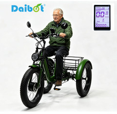 Daibot 24 Inch Fat Tire Electric Tricycle 750W 15AH Adults Snow Mountain E Bike
