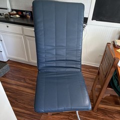 PEMF PulseChair Cushion Pad w/ Hose & Connector. No chair included Used 2x.