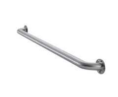 Project Source Exposed Screw 42-in Stainless Steel Wall Mount ADA Compliant Grab