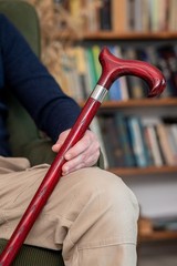 Dr. Watson – Handcrafted Wooden Walking Stick, Walking Cane with Derby Handle