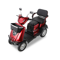 2 Seater Electric Scooter Mobility Scooter for Adult 1000W Anti-Theft Remote Key