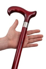 Dr. Watson – Handcrafted Wooden Walking Stick, Walking Cane with Derby Handle