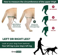 Orthopedic Dog Knee Brace for Hind Leg – Eases Discomfort & Enhances Mobility