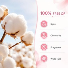 Period Underwear for Women Overnight Disposable Cotton Period Panties 31-41in…