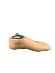 OTTOBOCK Otto Bock 1WR95 left Size 24 water Prosthetic Foot. Perfect cond