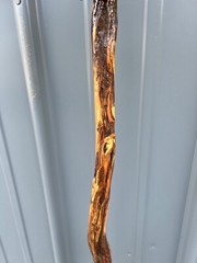 Diamond Willow Wood Cane – 35.5″ & 13 oz. – 100% Satisfaction Guaranteed