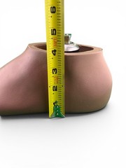 Ohio Willow Wood Sach prosthetic foot w/ titanium pyramid. Left. Size 29