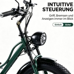 Daibot 750W 48V 24Inch Electric Trike Adult 7Speed Removable Battery Fat Tire