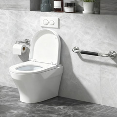 2PCS Stainless Steel Grab Bar Bathroom Safety Handicap Shower Tub Handle Support