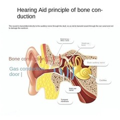 Noise-canceling bone conduction hearing aids with independent pickup box
