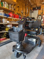 Golden Companion Electric Scooter