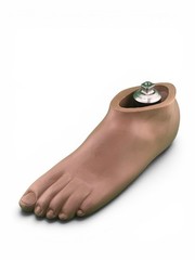 Ohio Willow Wood Sach prosthetic foot w/ titanium pyramid. Left. Size 29