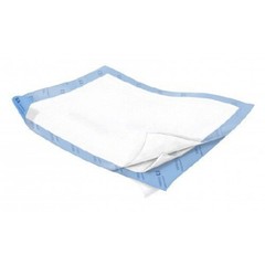 Wings Quilted Cloth-Like Underpad, 30 x 36 Inch, 2 Cases of 40