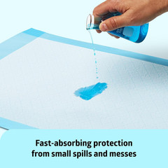 Light Absorbency Underpad, 23″ X 36″, 50 Count, Disposable Bed, Furniture & Surf