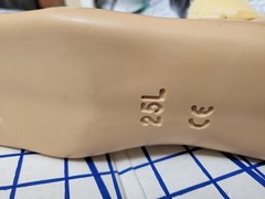 Complete Prosthetic Left Leg Knee WillowWood Limblogic Trulife Adult Dallas Cowb