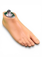 Ottobock Otto bock sach prosthetic foot. Right. Size 24. Excellent condition