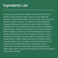 Anua Heartleaf Quercetinol Pore Deep Cleansing Foam Face Wash For Pore Refining