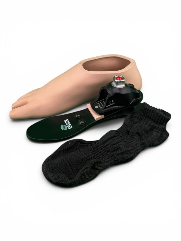 College Park Celsus Prosthetic Foot. Size 24, Right Shell, Category 2.