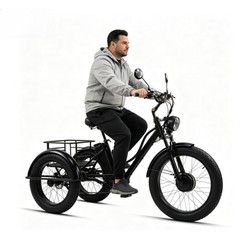 Daibot 24Inch 750W 48V Fat Tire E Trike Adult 7Speed 65km Removable Battery