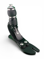 Ossur Pro-flex Proflex Xc Torsion Prosthetic Foot. Right. Size 29. Category 6