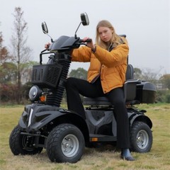 1000W 4-Wheel All-Terrain Electric Power Mobility Scooter Heavy Duty Scooter