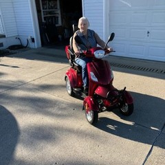 Heavy Duty 4-Wheel Mobility Scooters 31 Miles 3-Speed 800W 500lbs Capacity Red